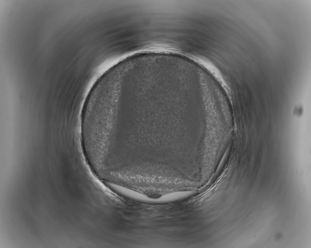 X0000099311335200805231355