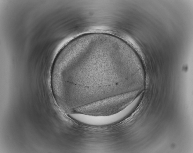 X0000099311336200805231355