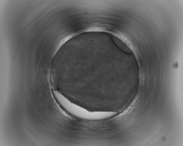 X0000099311337200805231355