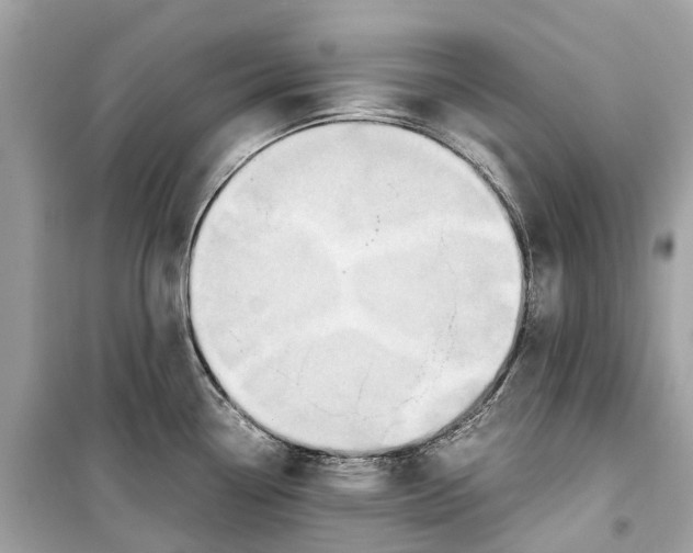 X0000099311338200805231355