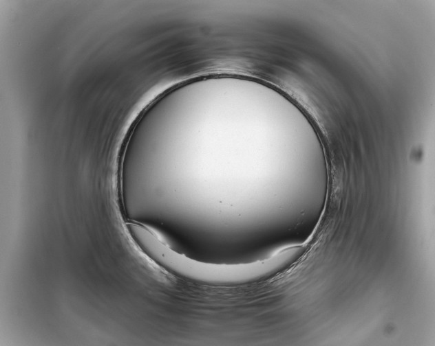 X0000099311339200805231355