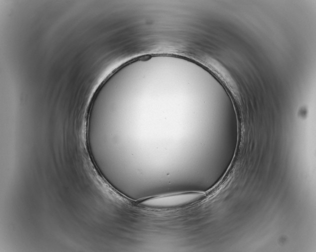 X0000099311340200805231355