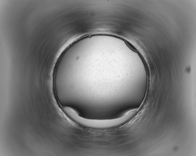 X0000099311341200805231355