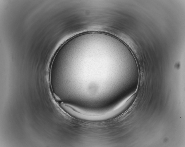 X0000099311342200805231355