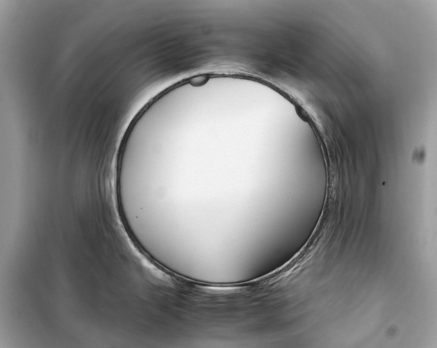 X0000099311343200805231355