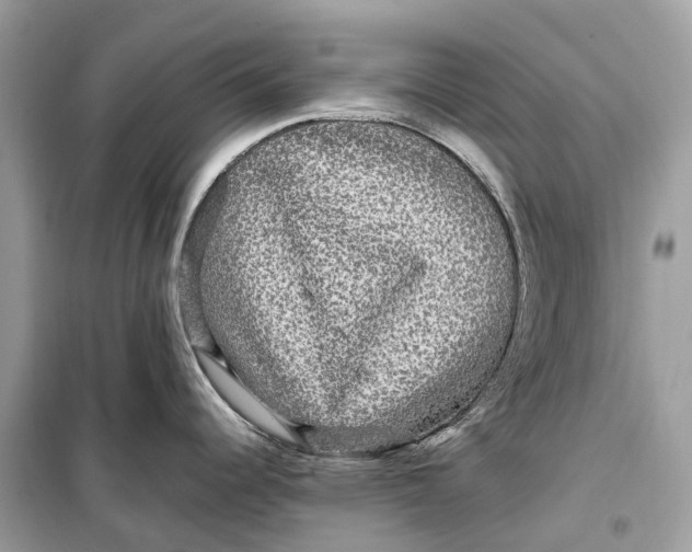 X0000099311344200805231355