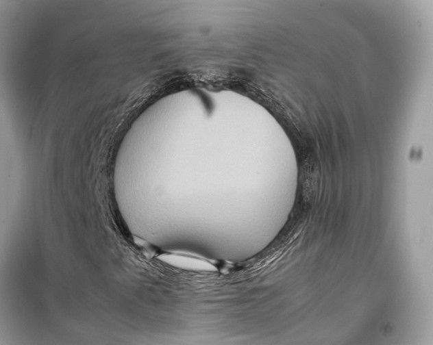 X0000099311345200805231354