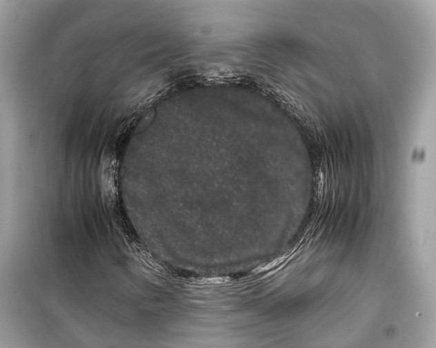 X0000099311346200805231354