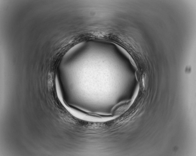 X0000099311347200805231354