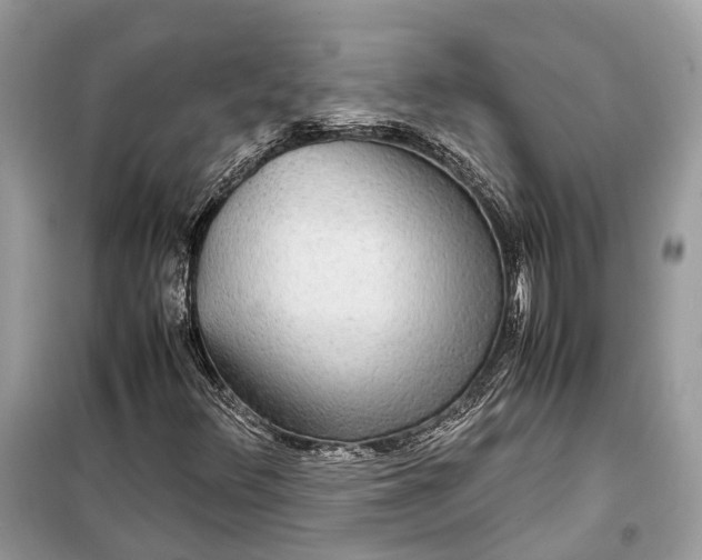 X0000099311348200805231354