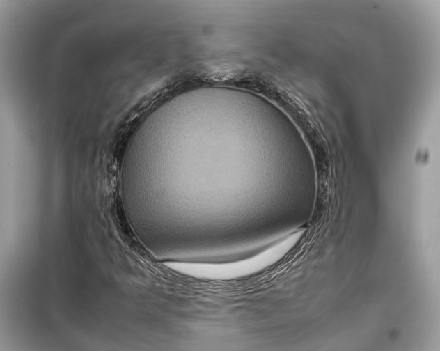 X0000099311349200805231354