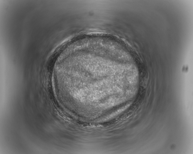 X0000099311351200805231354