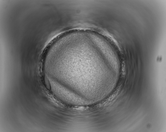 X0000099311352200805231354