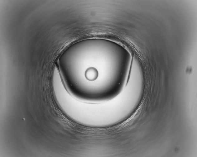 X0000099311353200805231354