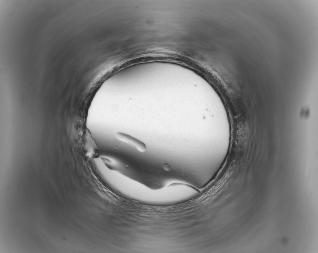 X0000099311355200805231354