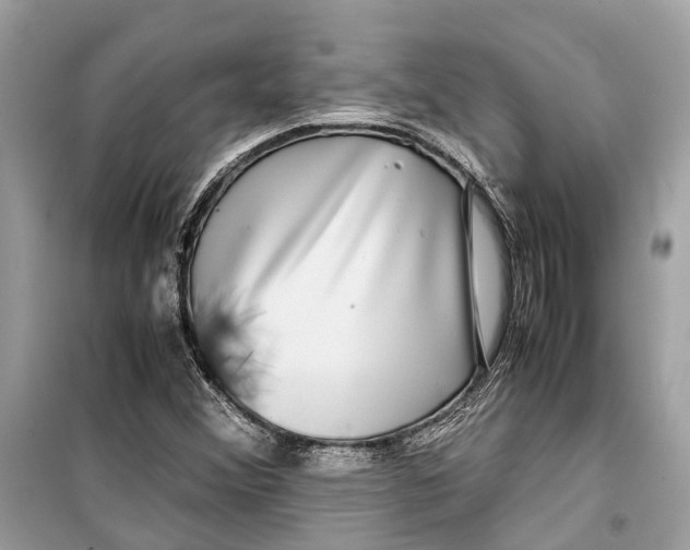 X0000099311356200805231354