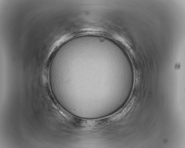 X0000099311357200805231354