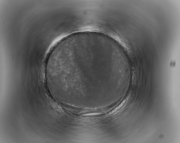 X0000099311358200805231354