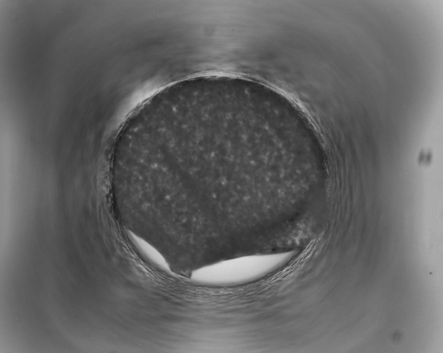 X0000099311359200805231354