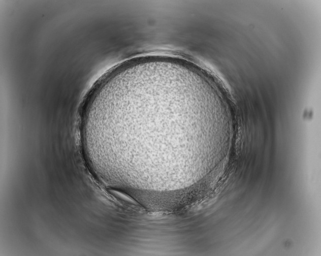 X0000099311360200805231354