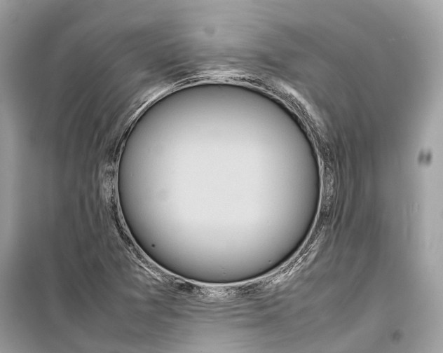 X0000099311361200805231354