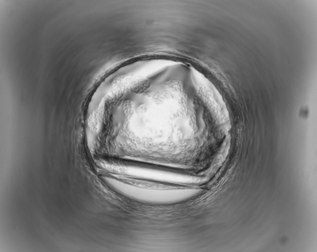 X0000099311363200805231354