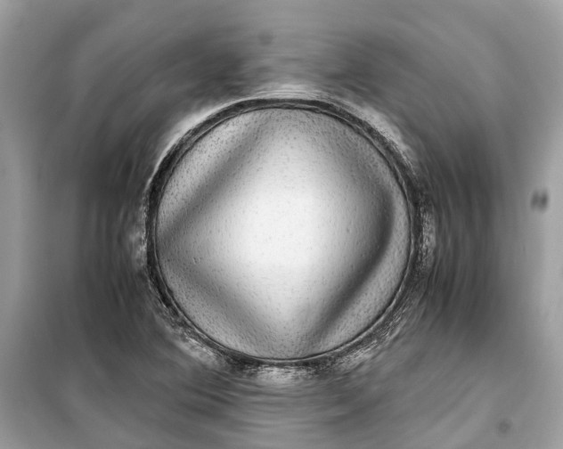 X0000099311364200805231354