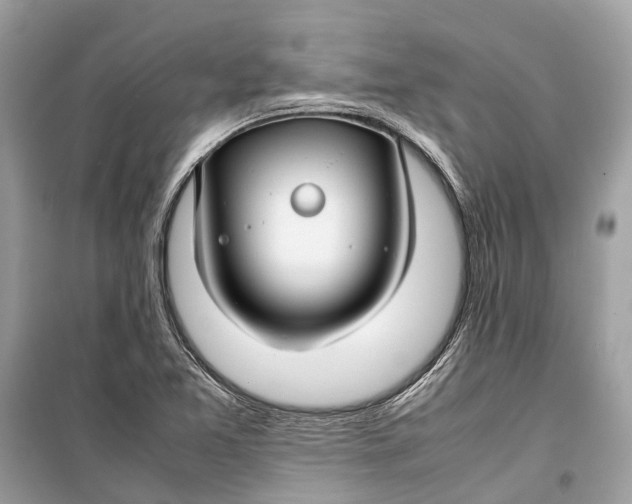 X0000099311365200805231354