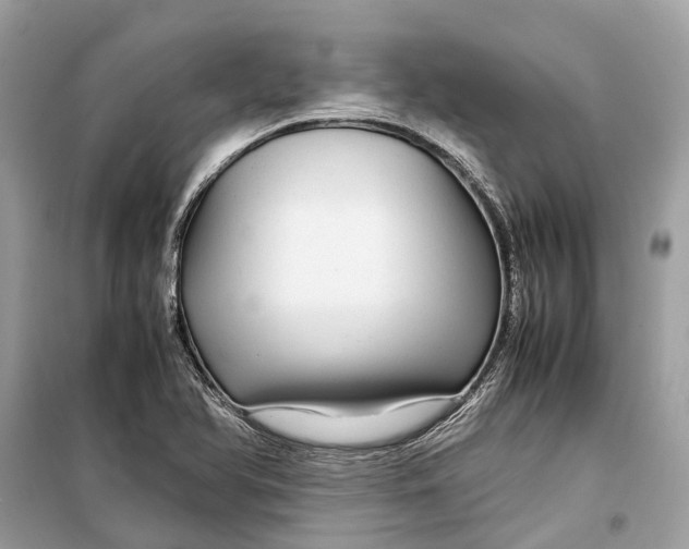 X0000099311366200805231354