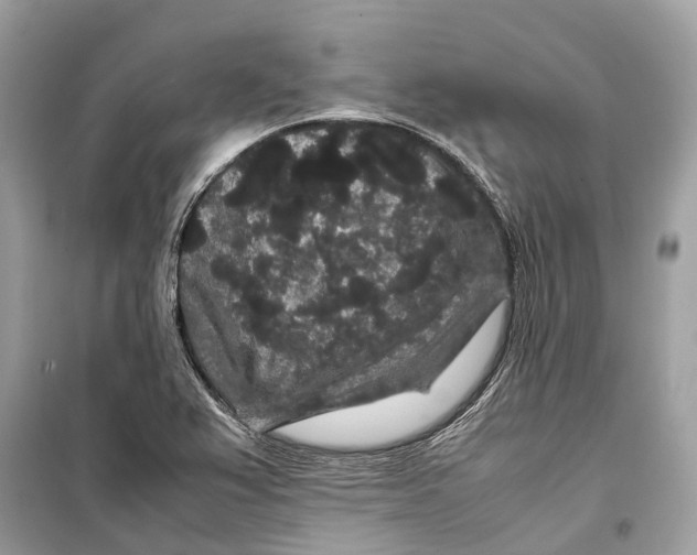 X0000099311367200805231354