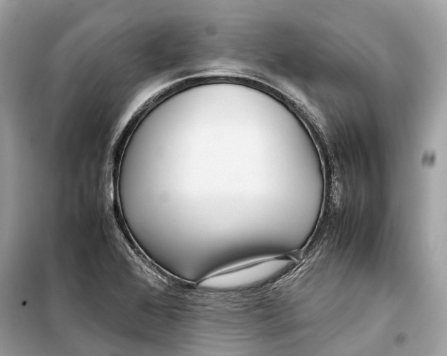 X0000099311368200805231354