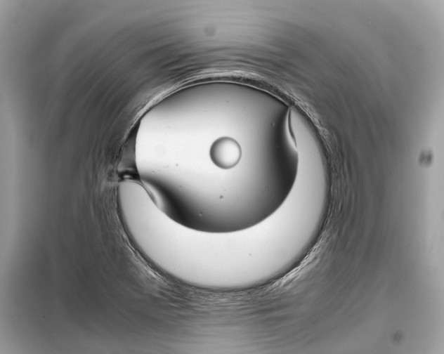 X0000099311369200805231354