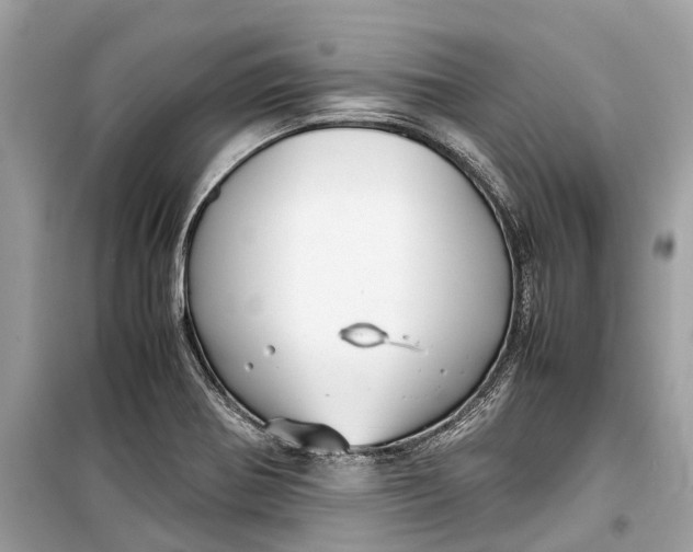 X0000099311370200805231354