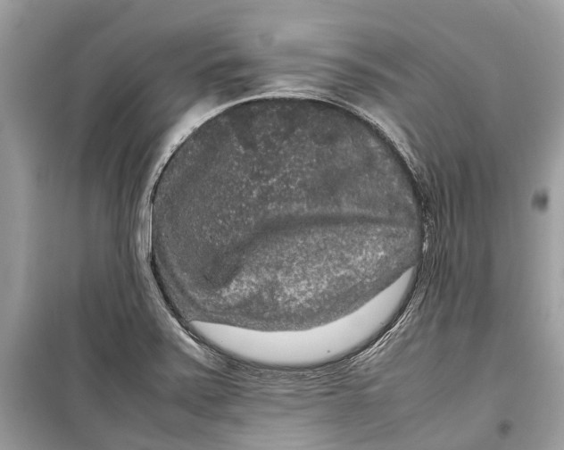 X0000099311371200805231354