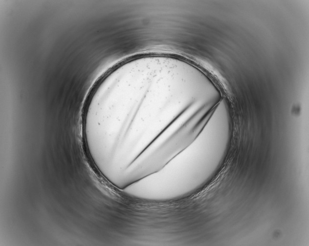 X0000099311372200805231354