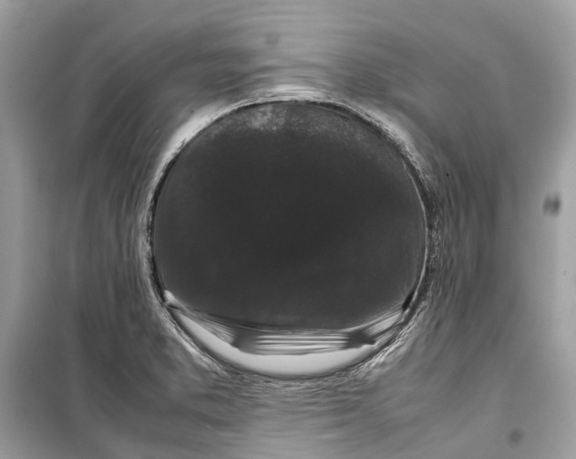 X0000099311373200805231354