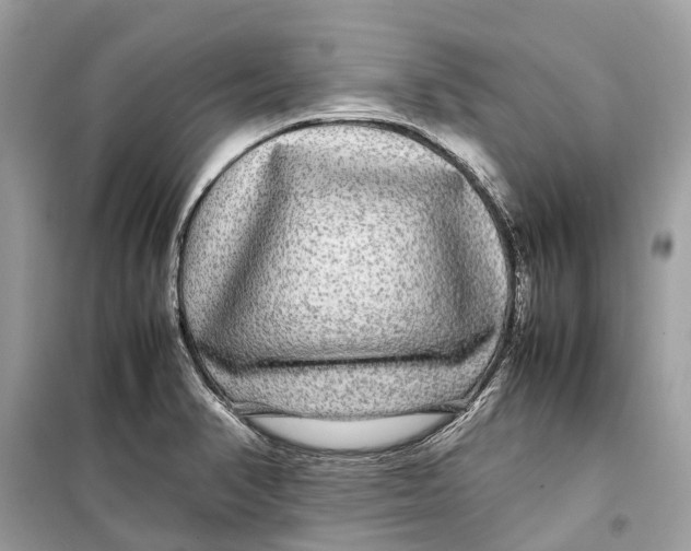 X0000099311374200805231354