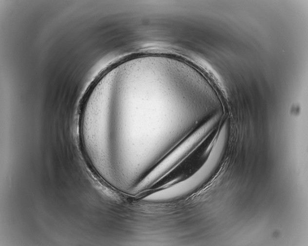 X0000099311376200805231354