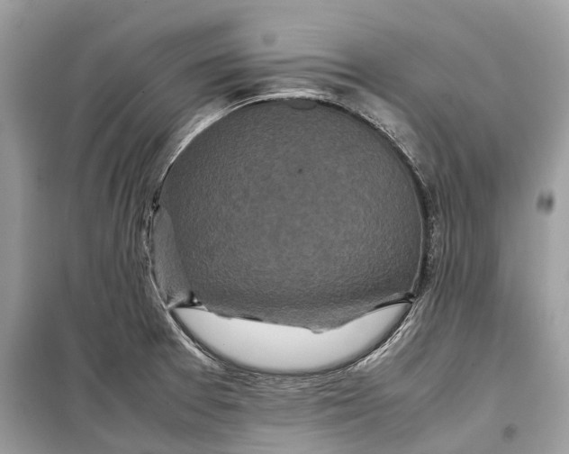 X0000099311377200805231354