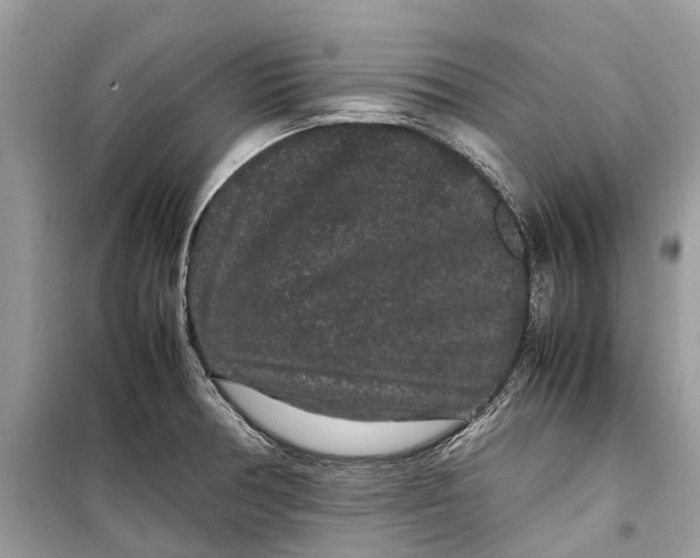 X0000099311378200805231354