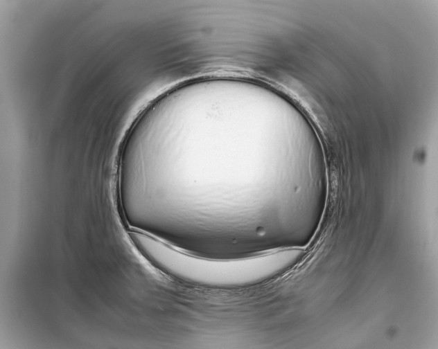 X0000099311379200805231354