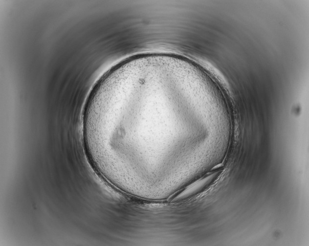 X0000099311380200805231354