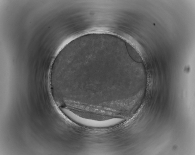 X0000099311382200805231354