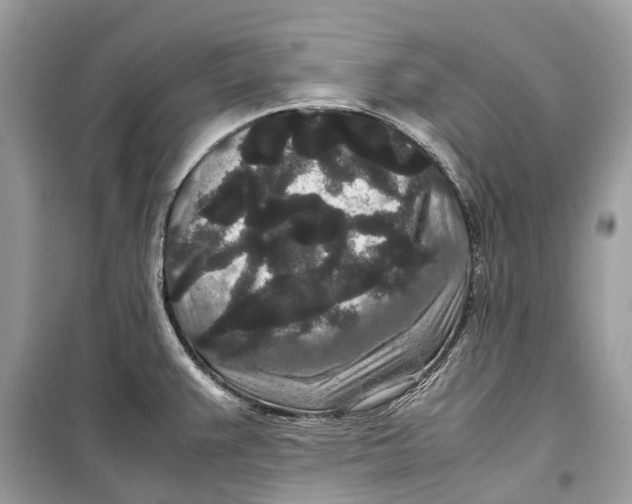 X0000099311383200805231354