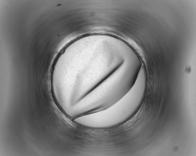 X0000099311384200805231354