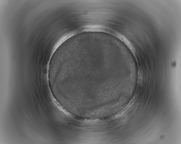 X0000099311386200805231354