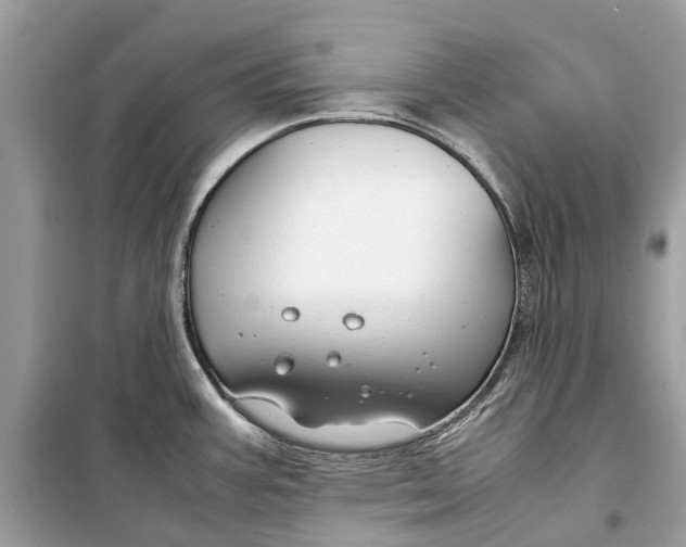 X0000099311387200805231354