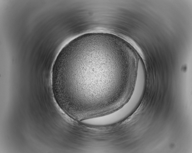 X0000099311388200805231354