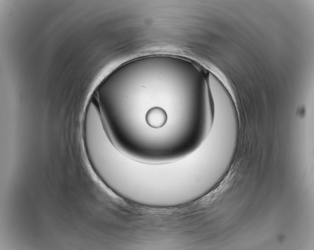 X0000099311389200805231354