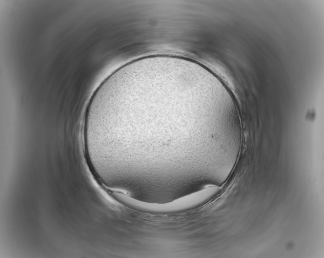 X0000099311391200805231354